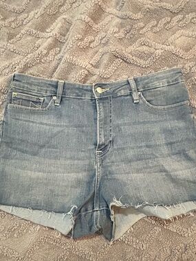 True Religion Denim Cutoff Shorts in Faded Blue